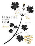 Herbier (L'): arbres feuillus d'Europe